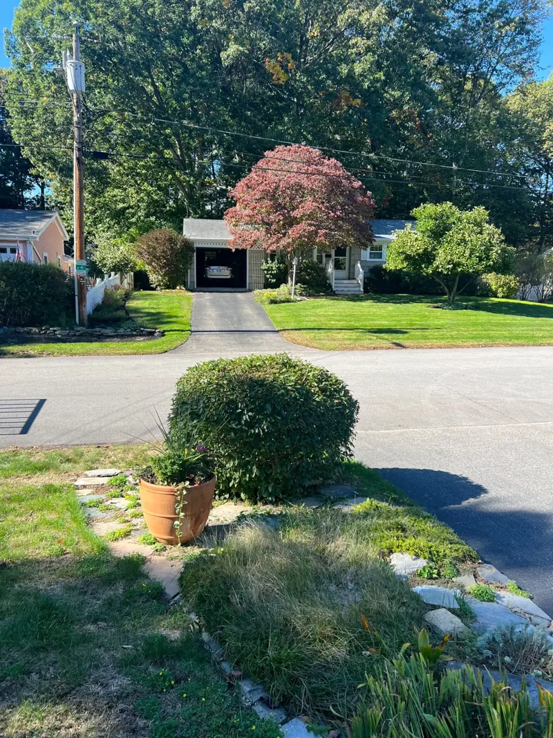Hedge trimming
