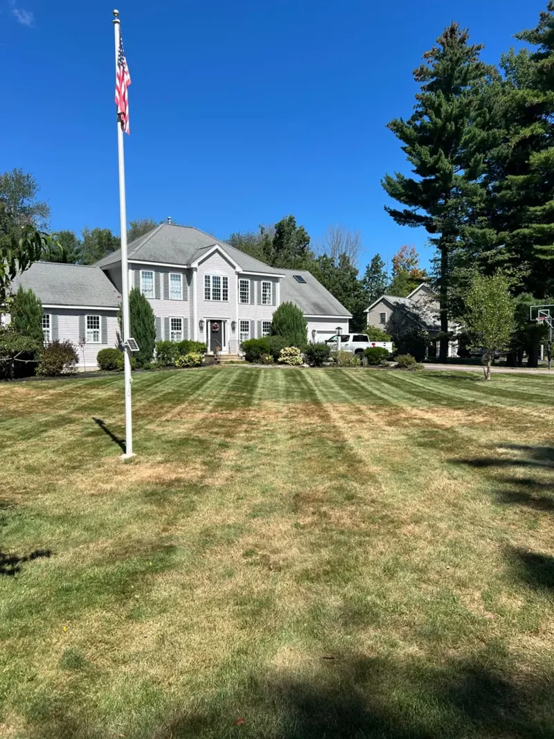 Striped lawn