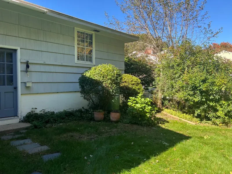 Shrub shaping alongside a home