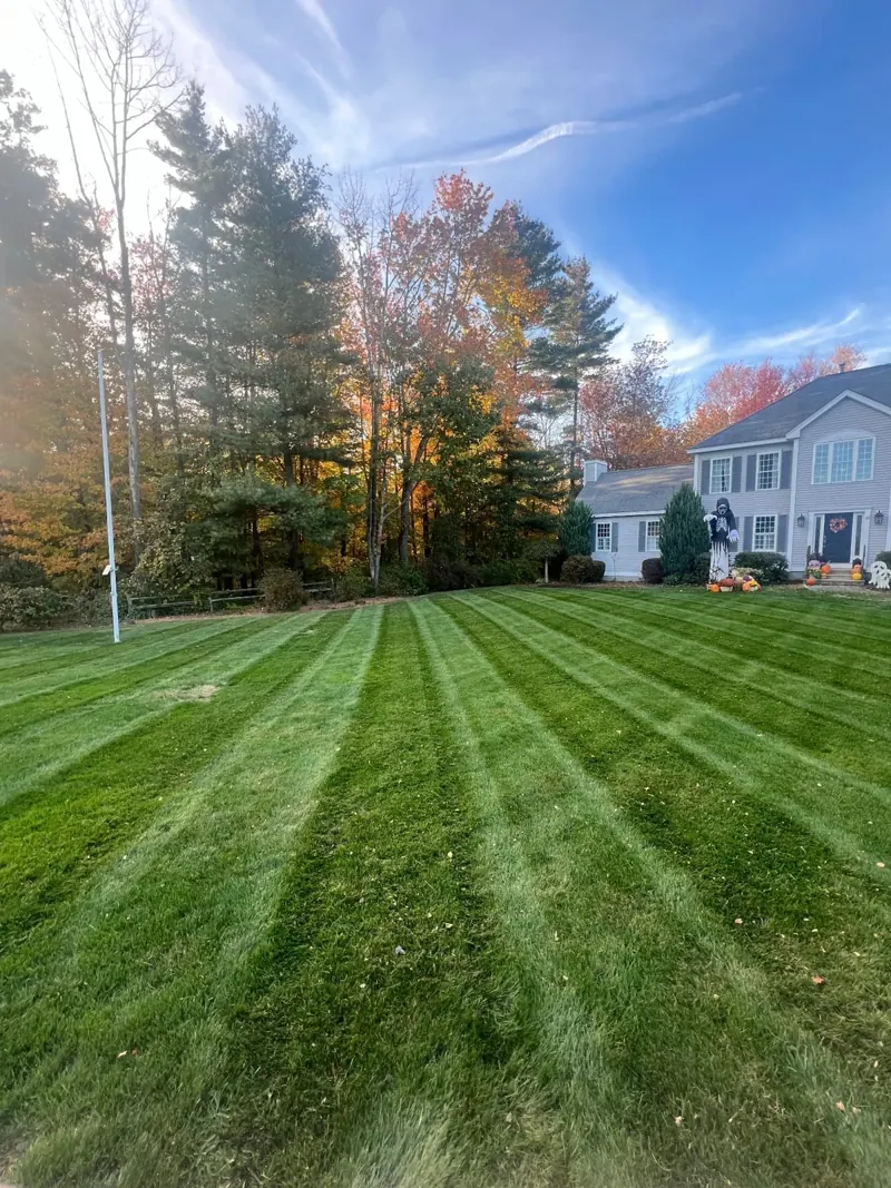 Autumn lawn care