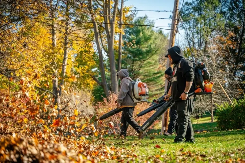 Fall leaf cleanup